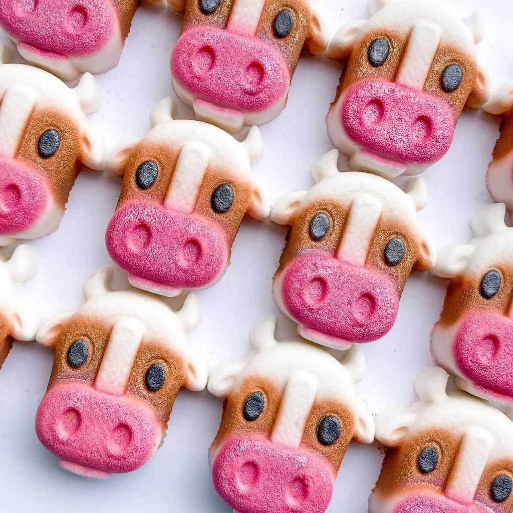 Bath Bombs - Hey Heifer Boutique